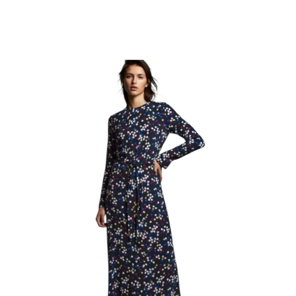Zara Floral Long Sleeve Maxi Dress